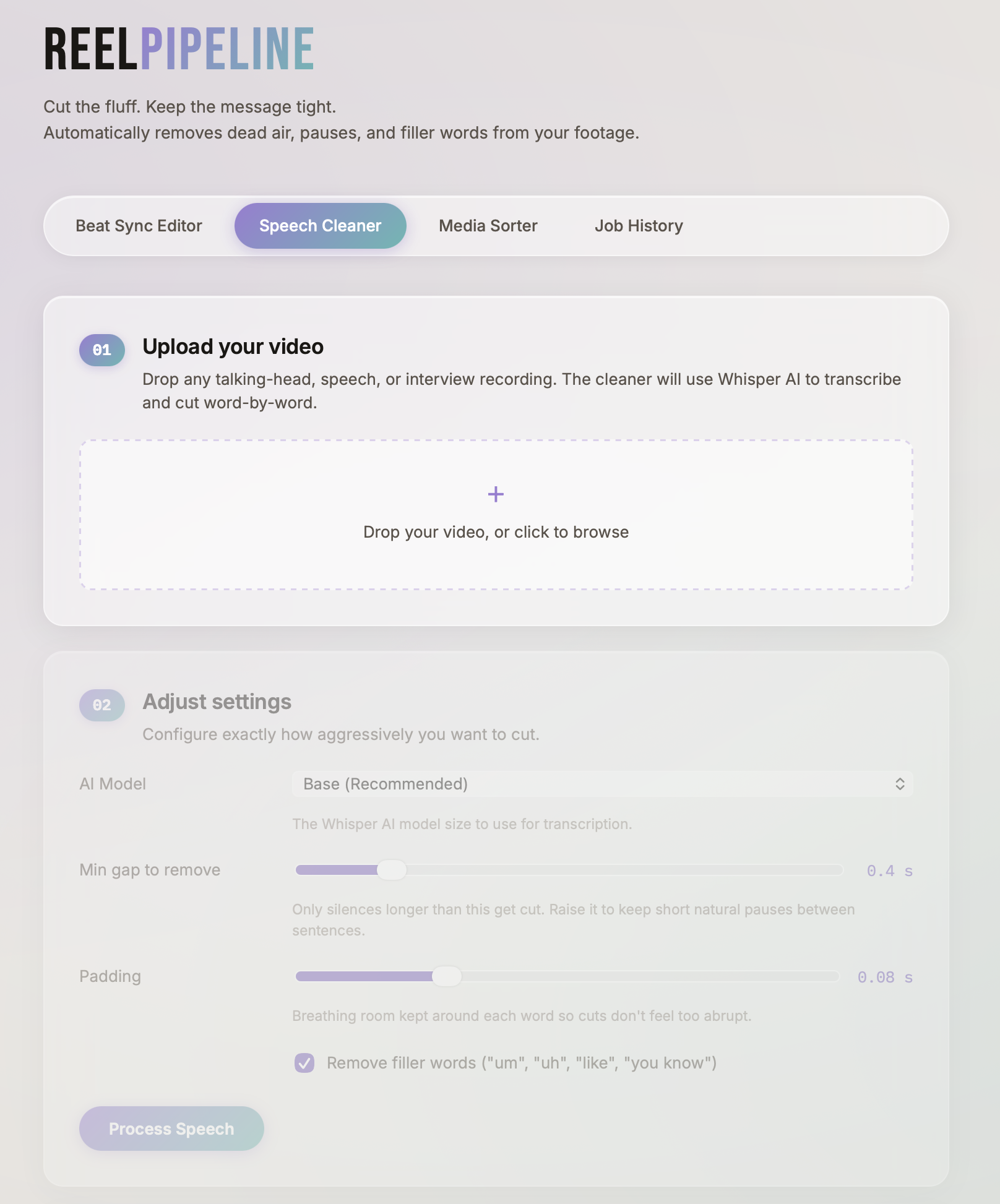 Speech Cleaner